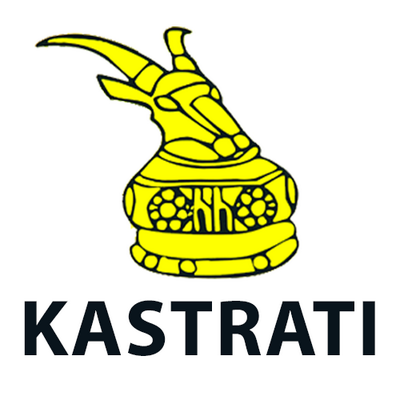 The Kastrati Group
