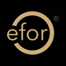 EFOR CONSULTANTS