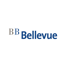 BELLEVUE GROUP