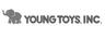 youngtoys inc