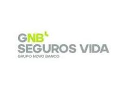 GNB VIDA