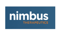 NIMBUS LAKSHMI INC