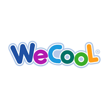 Wecool Toys