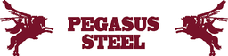 PEGASUS STEEL