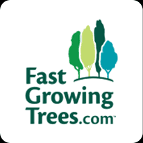 Fast Growing Trees