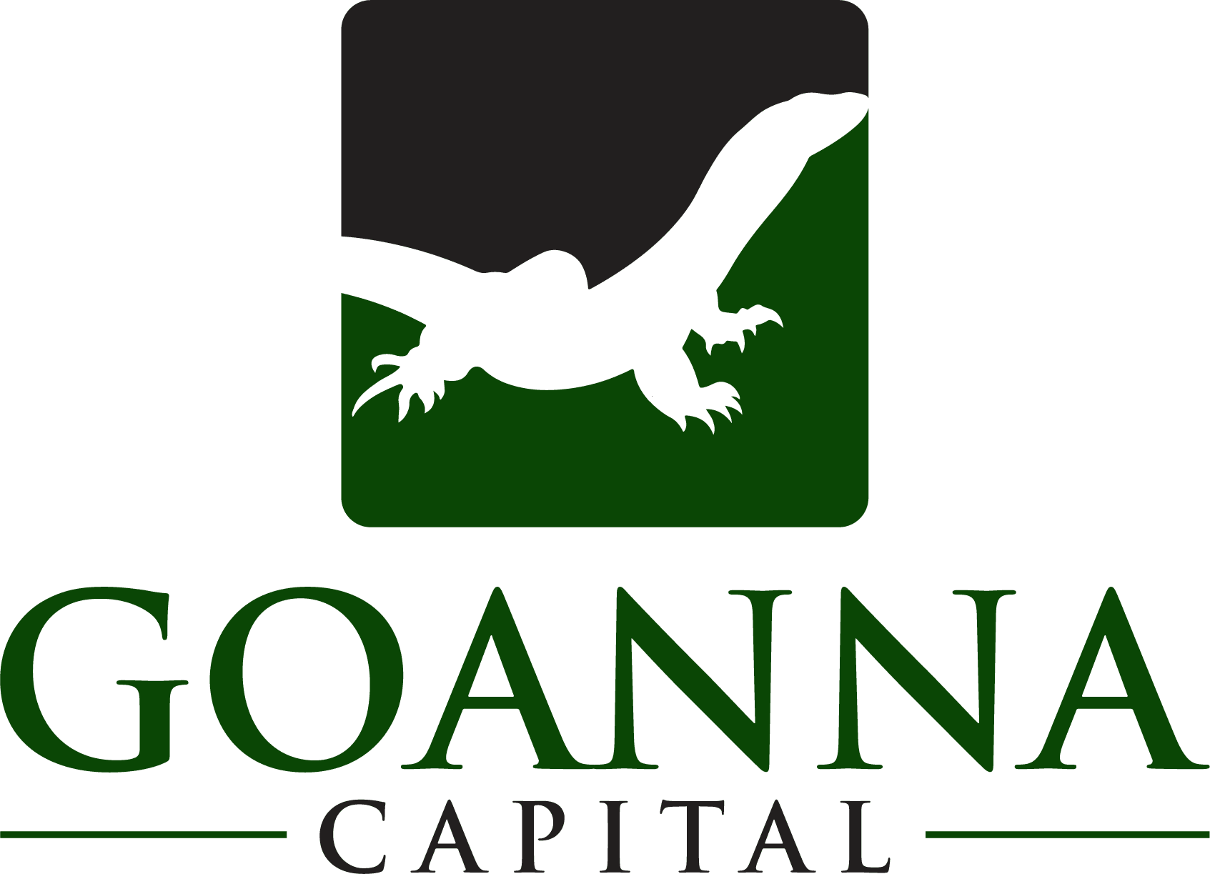 GOANNA CAPITAL