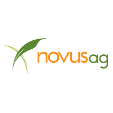 Novus