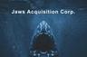 JAWS ACQUISITION CORP