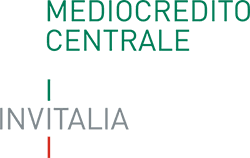 BANCA DEL MEZZOGIORNO-MEDIOCREDITO CENTRALE