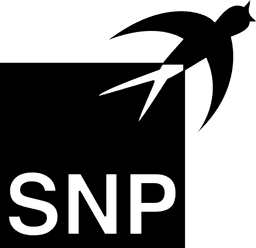 SNP SCHNEIDER-NEUREITHER & PARTNER