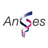 ANGES