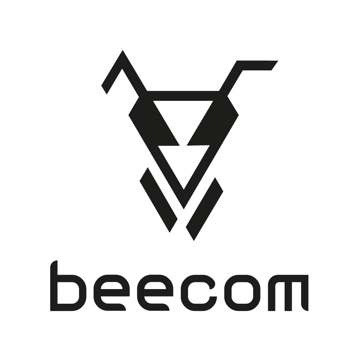 BEECOM PRODUCTS AG