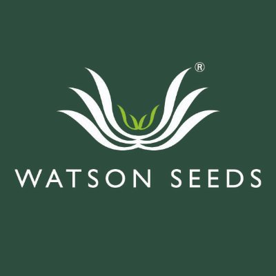 WATSON SEEDS