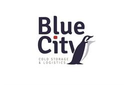 BLUE CITY SRL