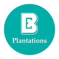 BOUSTEAD PLANTATIONS