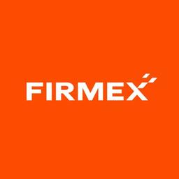 FIRMEX INC