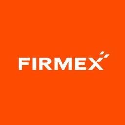 FIRMEX INC