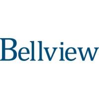 BELLVIEW CAPITAL PARTNERS