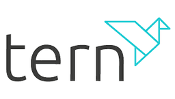 TERN PLC