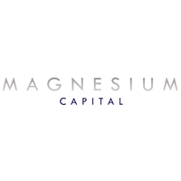 Magnesium Capital