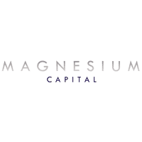 MAGNESIUM CAPITAL LLP