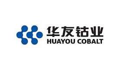 Huayou Cobalt