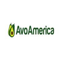 AVOAMERICA PERU