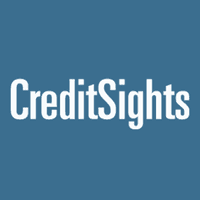 CREDITSIGHTS INC