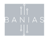 Banias Labs