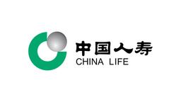 CHINA LIFE INSURANCE