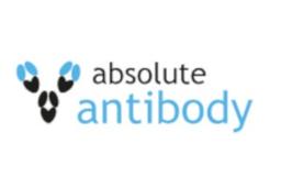 Absolute Antibody