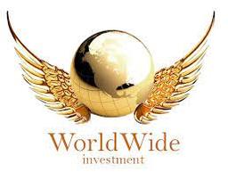 THE WORLD-WIDE INVESTMENT COMPANY LIMITED
