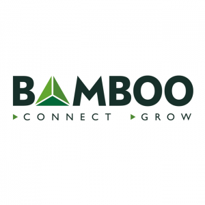 BAMBOO TECHNOLOGY GROUP