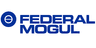 FEDERAL-MOGUL LLC