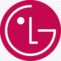 Lg Corp