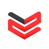 WISE SECURITY GLOBAL