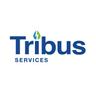 Tribus Services