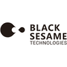 black sesame technologies