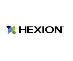 HEXION (GLOBAL EPOXY BUSINESS)