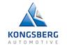 Kongsberg Automotive (powersports Business)