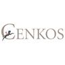 Cenkos Securities