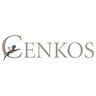 cenkos securities