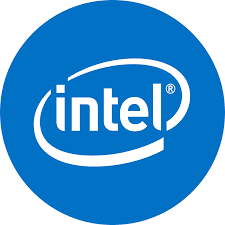 Intel (nand Memory And Storage Business)