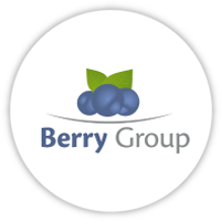 Berry Global (health, Hygiene And Specialties Global Nonwovens And Films Business)