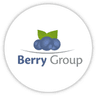 BERRY GLOBAL (HEALTH, HYGIENE AND SPECIALTIES GLOBAL NONWOVENS AND FILMS BUSINESS)