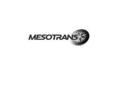 THE MESOTRANS GROUP