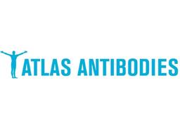 ATLAS ANTIBODIES