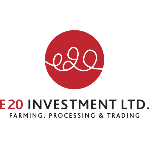 E20 Investment