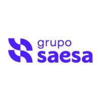 Grupo Saesa