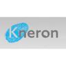 Kneron Holding Corp